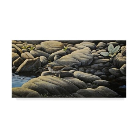 Trademark Fine Art Wilhelm Goebel 'Along The Creek' Canvas Art, 10x19 ALI33700-C1019GG